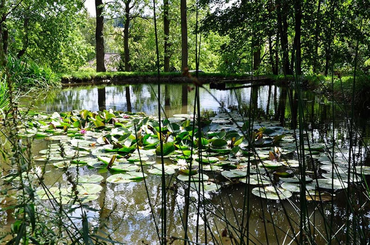 Landhausgarten Bunzmann Berg  Bagian luar foto